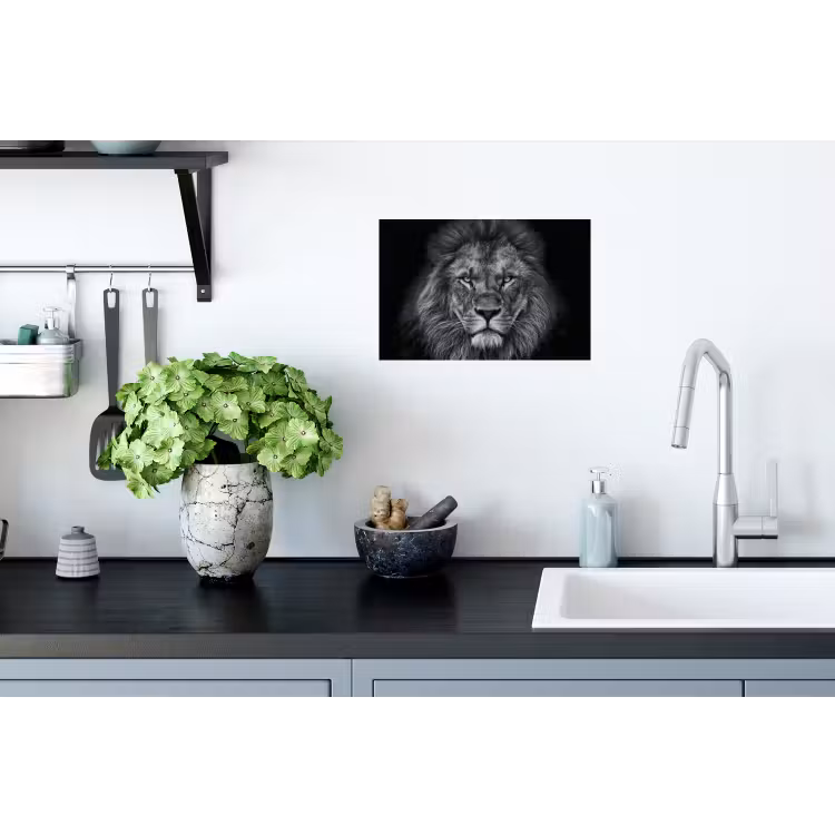 Muursticker - Leeuw - Dieren - Zwart - Wit — 2