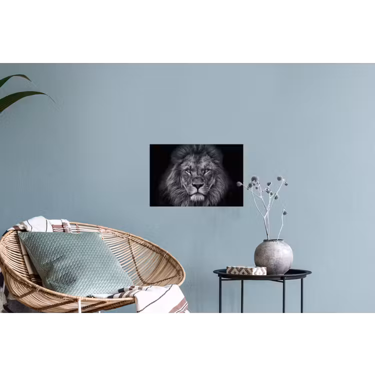 Muursticker - Leeuw - Dieren - Zwart - Wit — 4