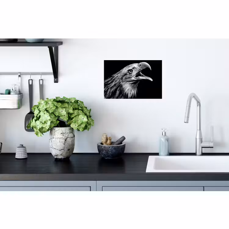 Muursticker - Adelaar - Portret - Roofvogels - Zwart - Wit - Vogel — 2