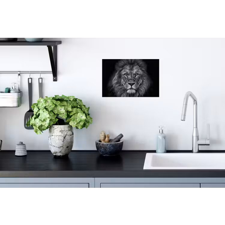 Muursticker - Leeuw - Dieren - Zwart - Wit — 2