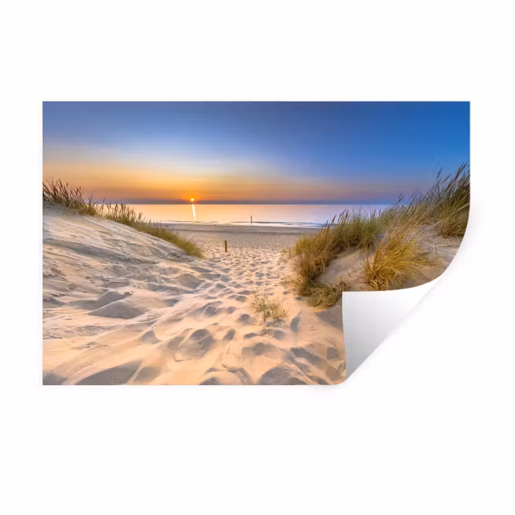 Muursticker - Duin - Zonsondergang - Horizon - Strand - Gras — 1