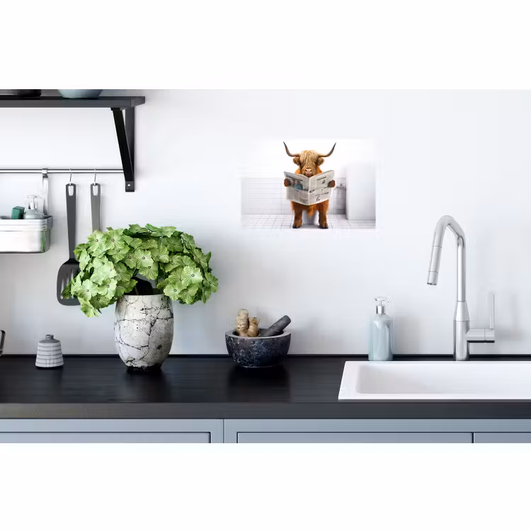 Muursticker - Schotse hooglander - Krant - Toilet - WC - Wit - Koe — 2