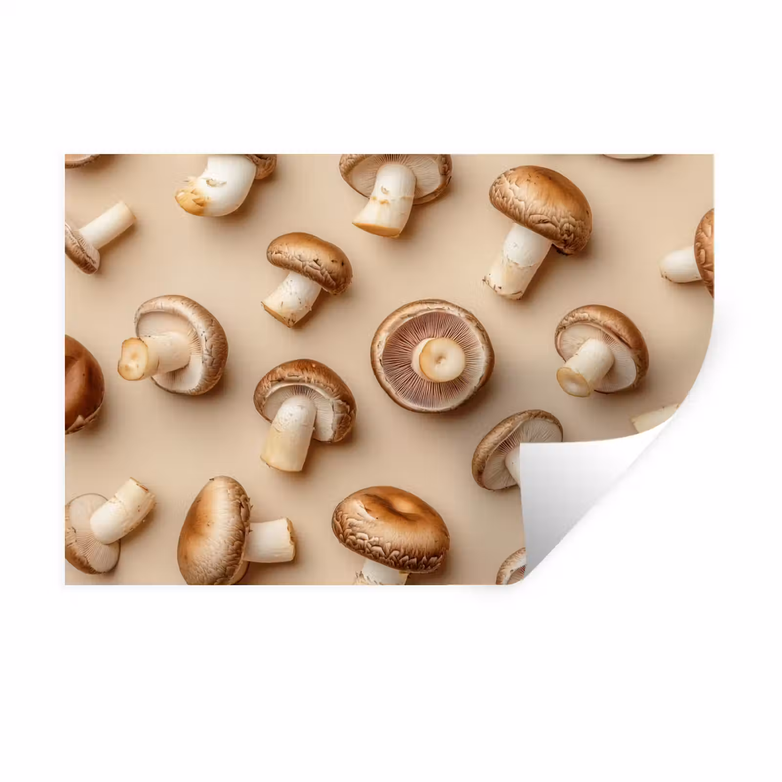 Muursticker - Kastanje Champignons - Beige — 1