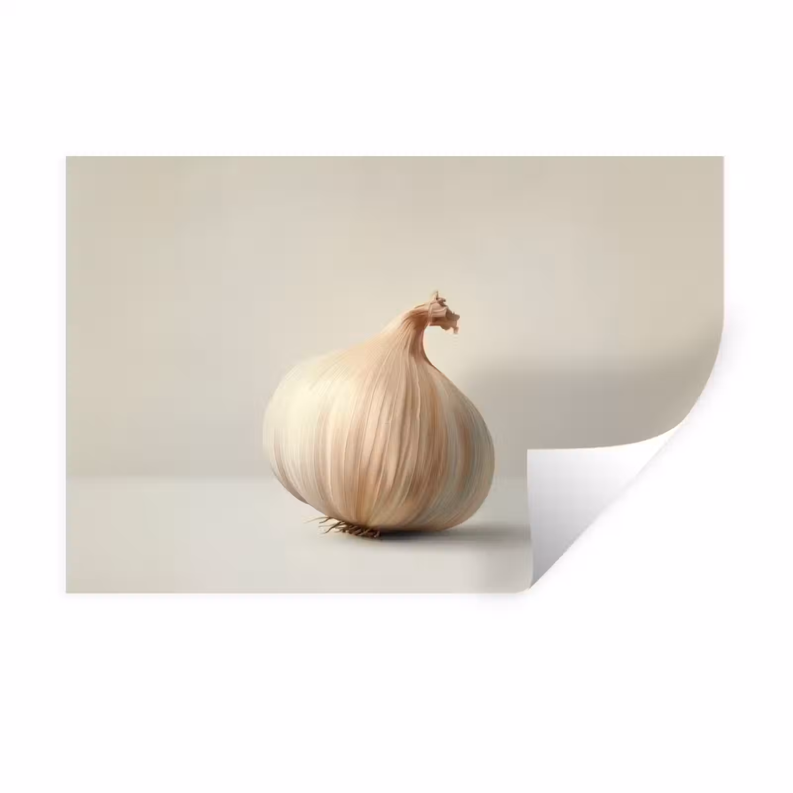 Muursticker - Knoflook - Natuurlijk - Beige — 1