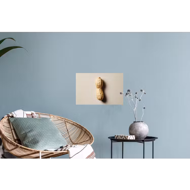 Muursticker - Pinda - Ruw - Beige — 4