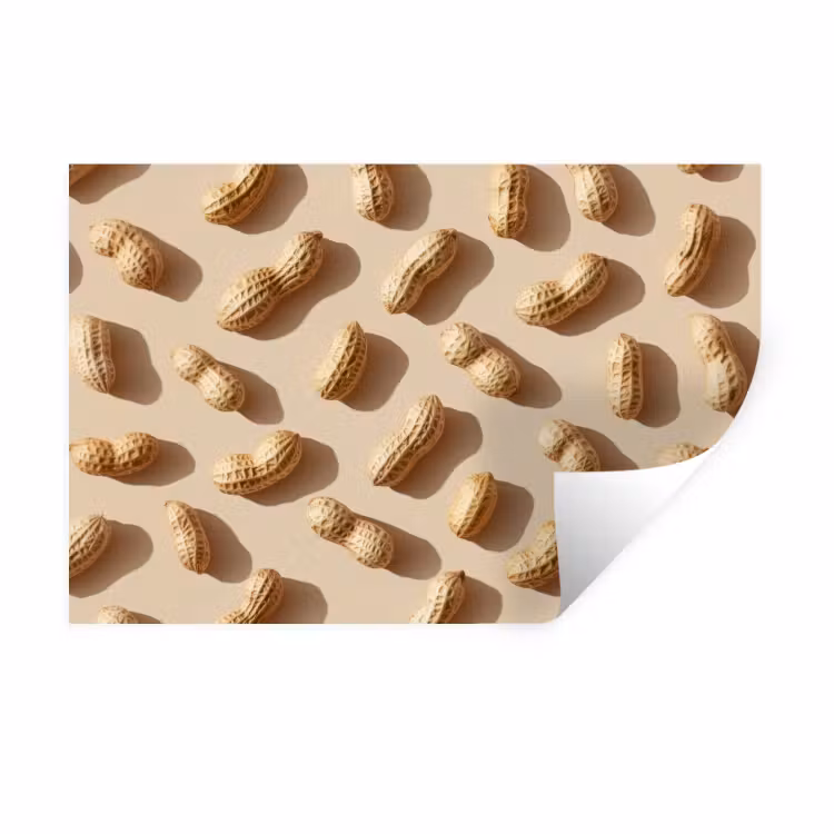 Muursticker - Pinda's - Patroon - Beige — 1