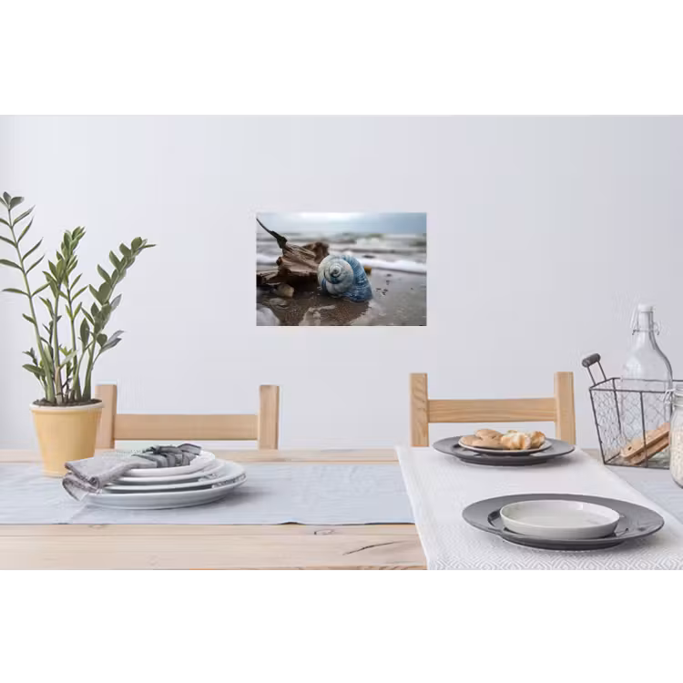 Muursticker - Schelp - Strand - Blauw - Zee — 3