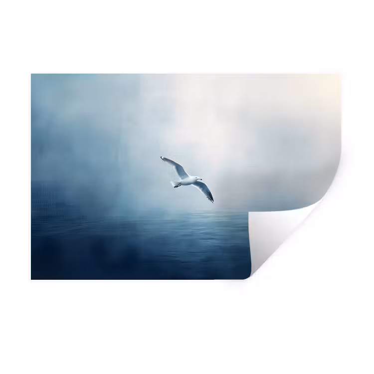 Muursticker - Meeuw - Wit - Zee - Mistig — 1