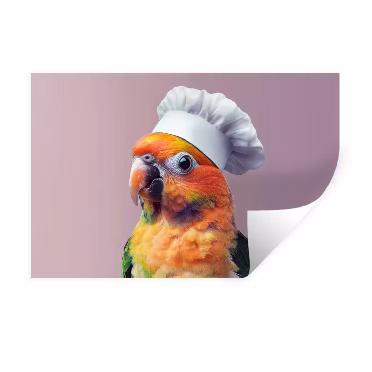Muursticker - Papegaai - Koksmuts - Nieuwsgierig - Vogel — 1