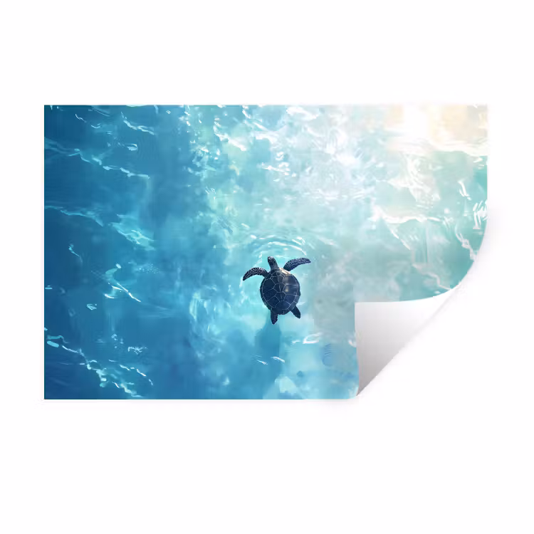 Muursticker - Schildpad - Zee - Blauw - Schittering — 1