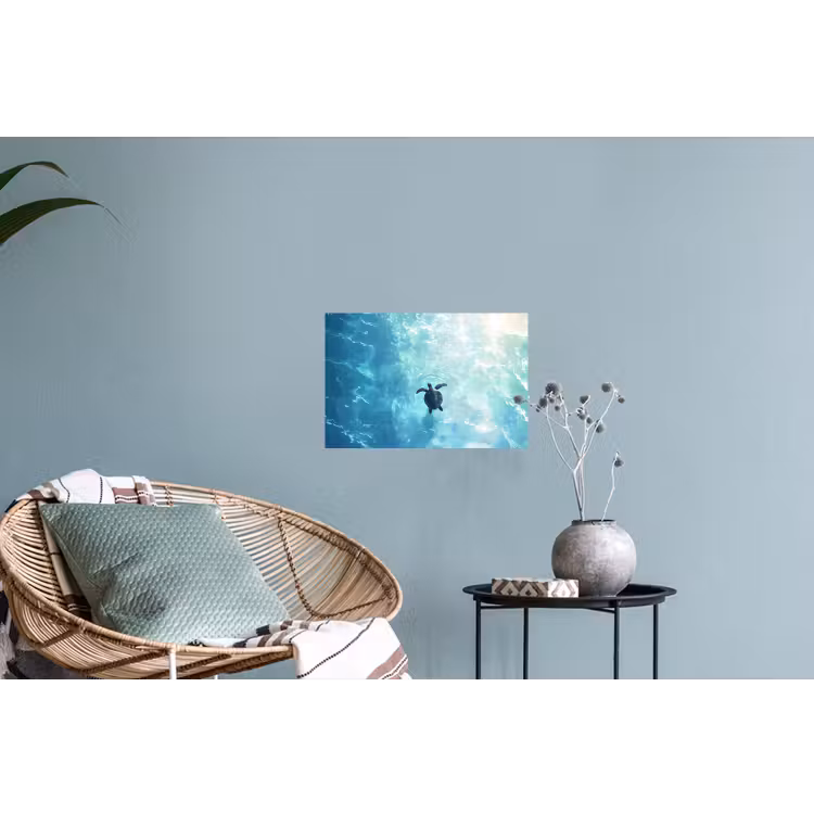 Muursticker - Schildpad - Zee - Blauw - Schittering — 4