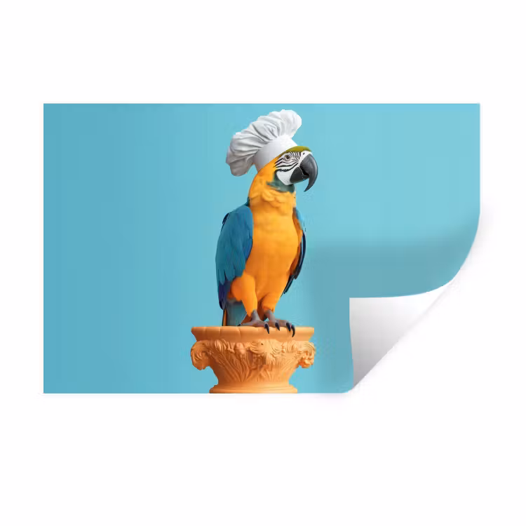 Muursticker - Papegaai - Koksmuts - Grappig - Vogel — 1
