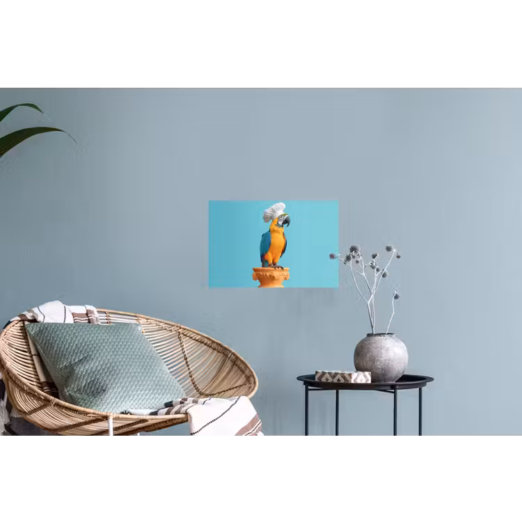 Muursticker - Papegaai - Koksmuts - Grappig - Vogel — 4