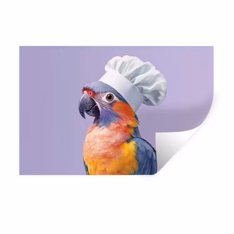 Muursticker - Papegaai - Koksmuts - Paars - Cute — 1