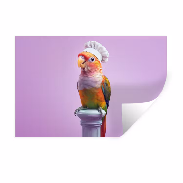 Muursticker - Papegaai - Koksmuts - Pilaar - Vogel — 1