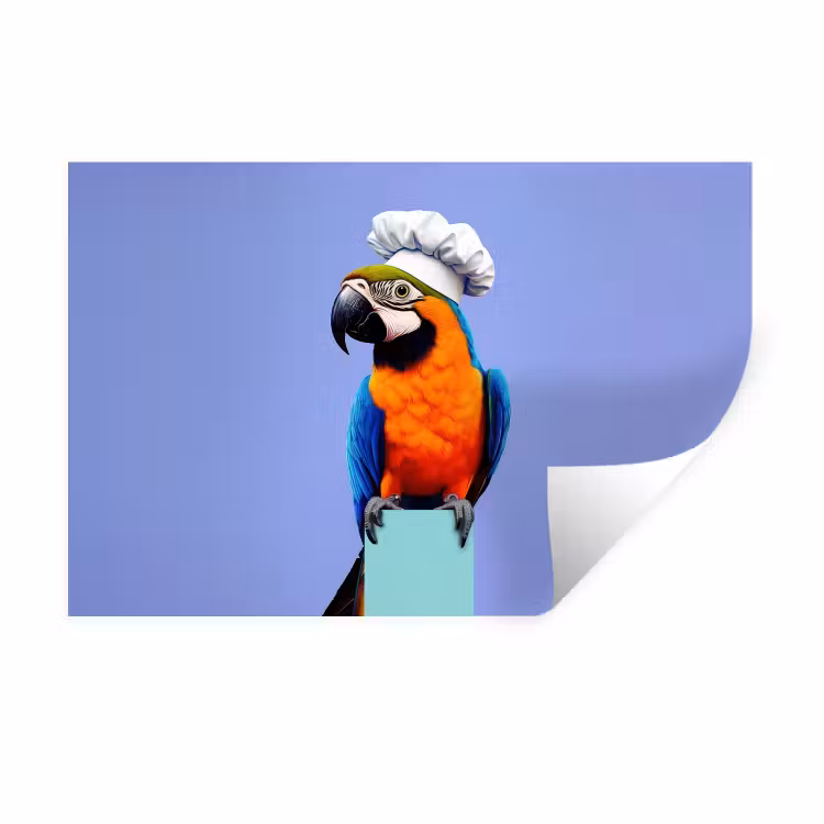 Muursticker - Papegaai - Koksmuts - Vogel - Leuk — 1