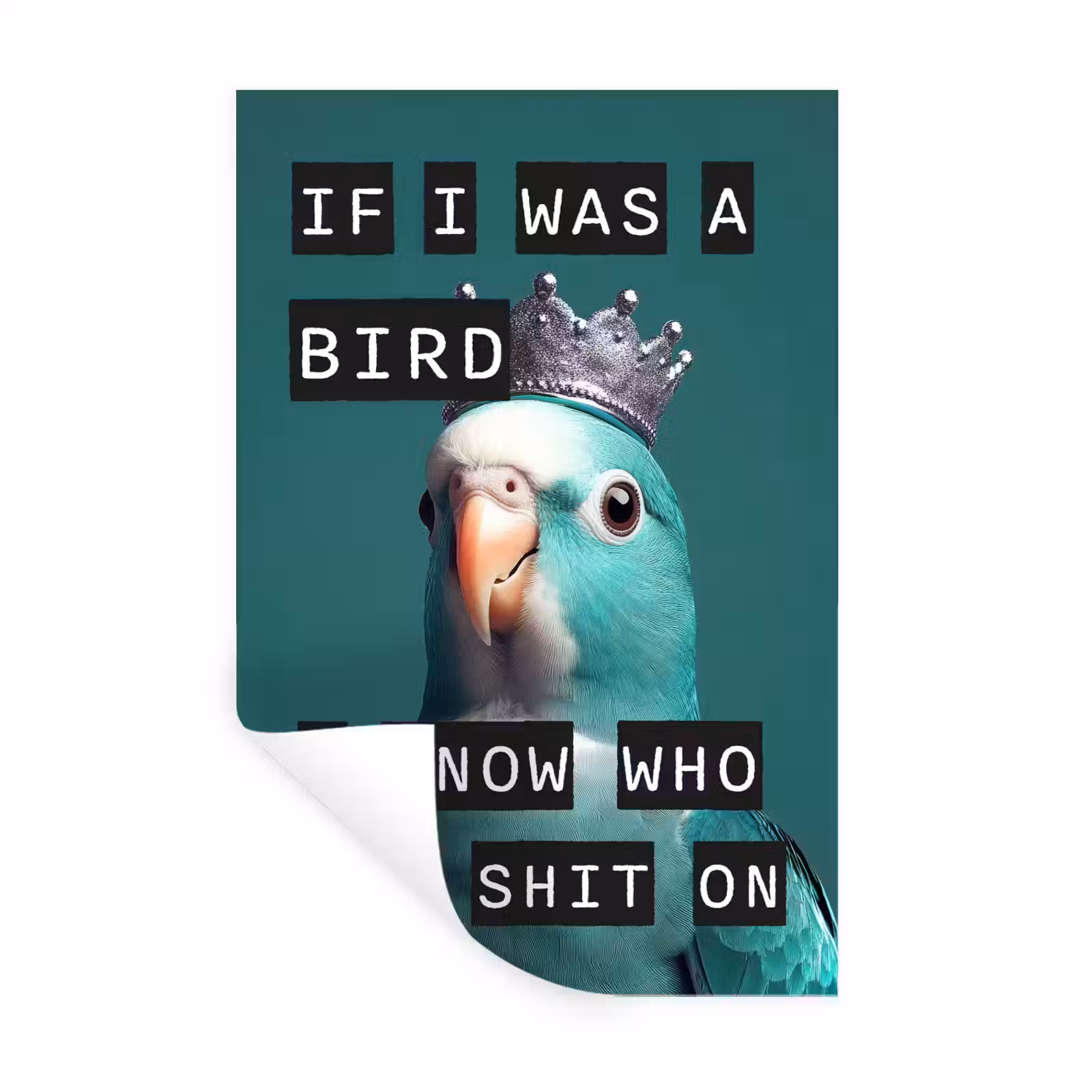 Muursticker - Parkiet - Turquoise - Quotes - Decoratie — 1