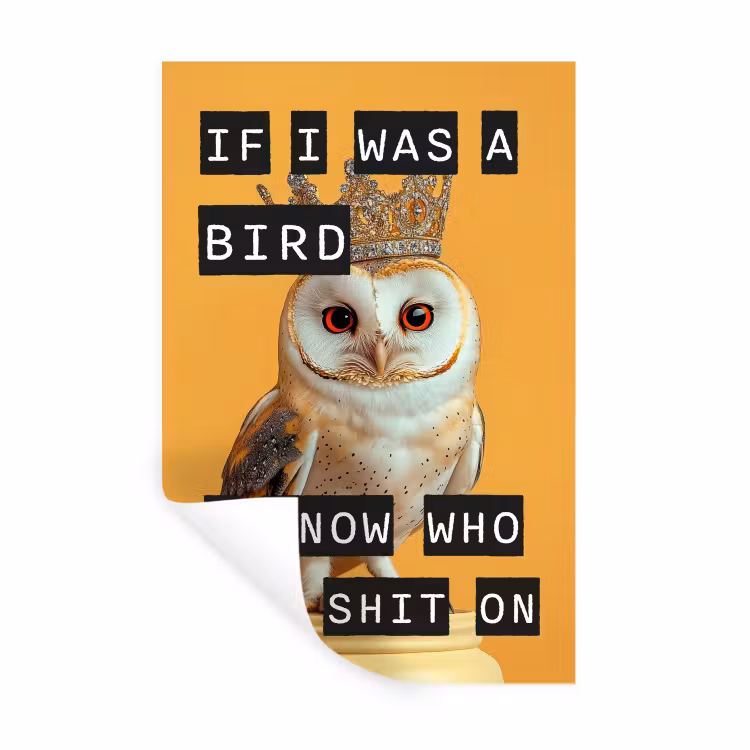Muursticker - Geel - Uil - Vogel - Decoratie — 1