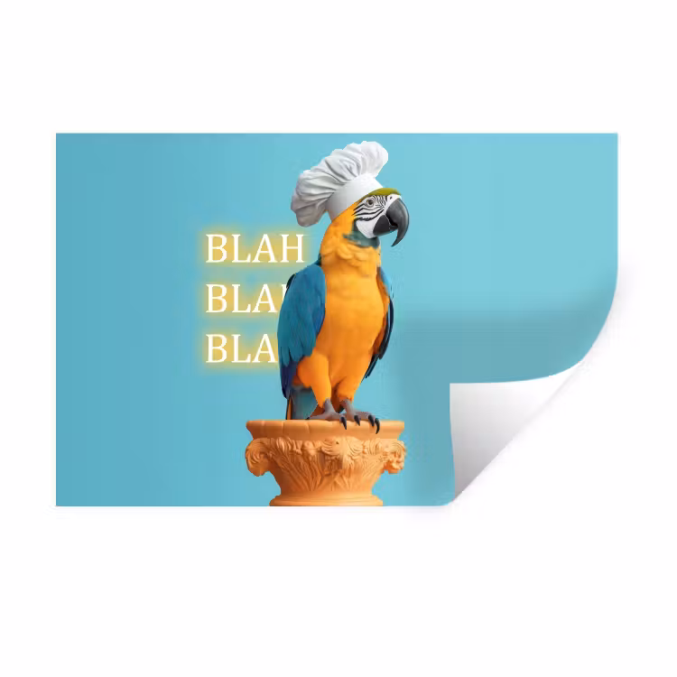Muursticker - Papegaai - Koksmuts - Quote - Neon — 1