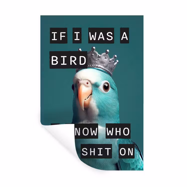 Muursticker - Parkiet - Turquoise - Quotes - Decoratie — 1
