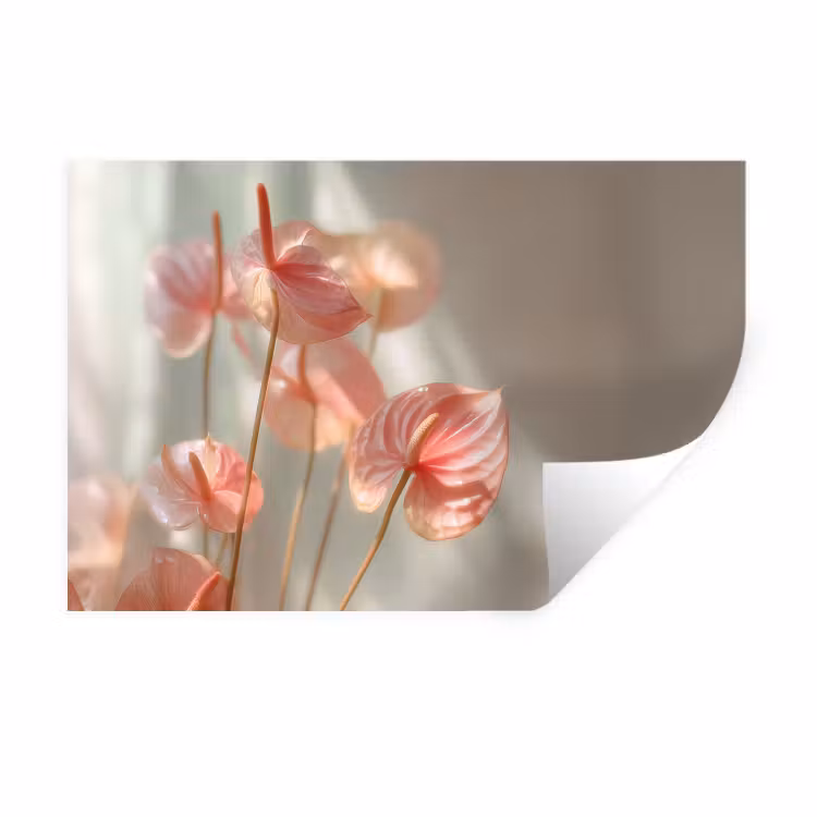 Muursticker - Bloemen - Stelen - Roze - Schaduw — 1
