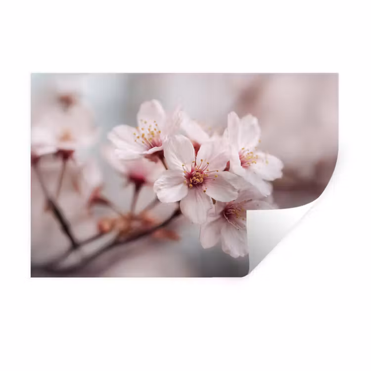 Muursticker - Bloesems - Meeldraden - Geel - Wazig — 1