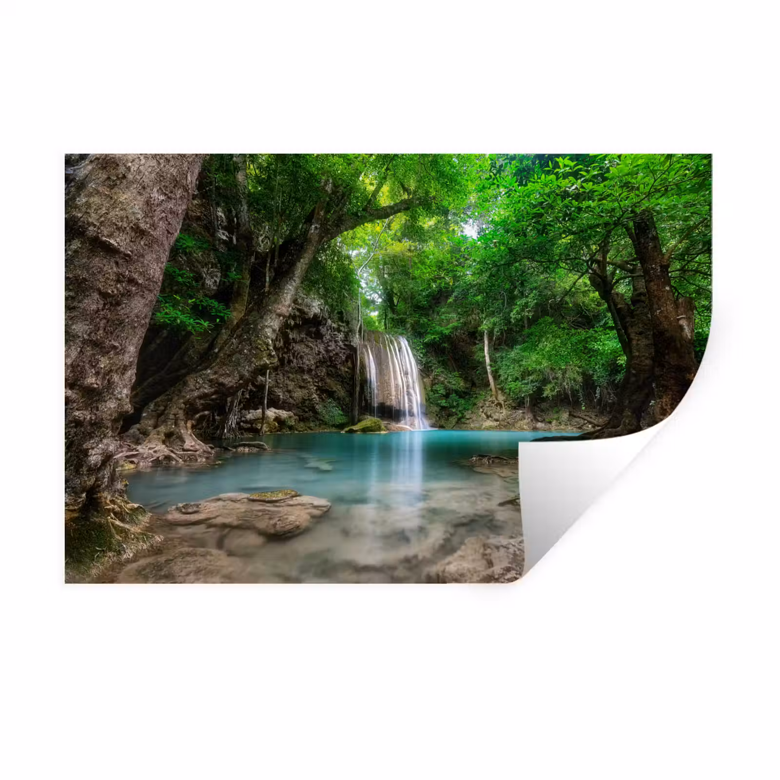 Muursticker - Jungle - Waterval - Planten - Water - Natuur — 1