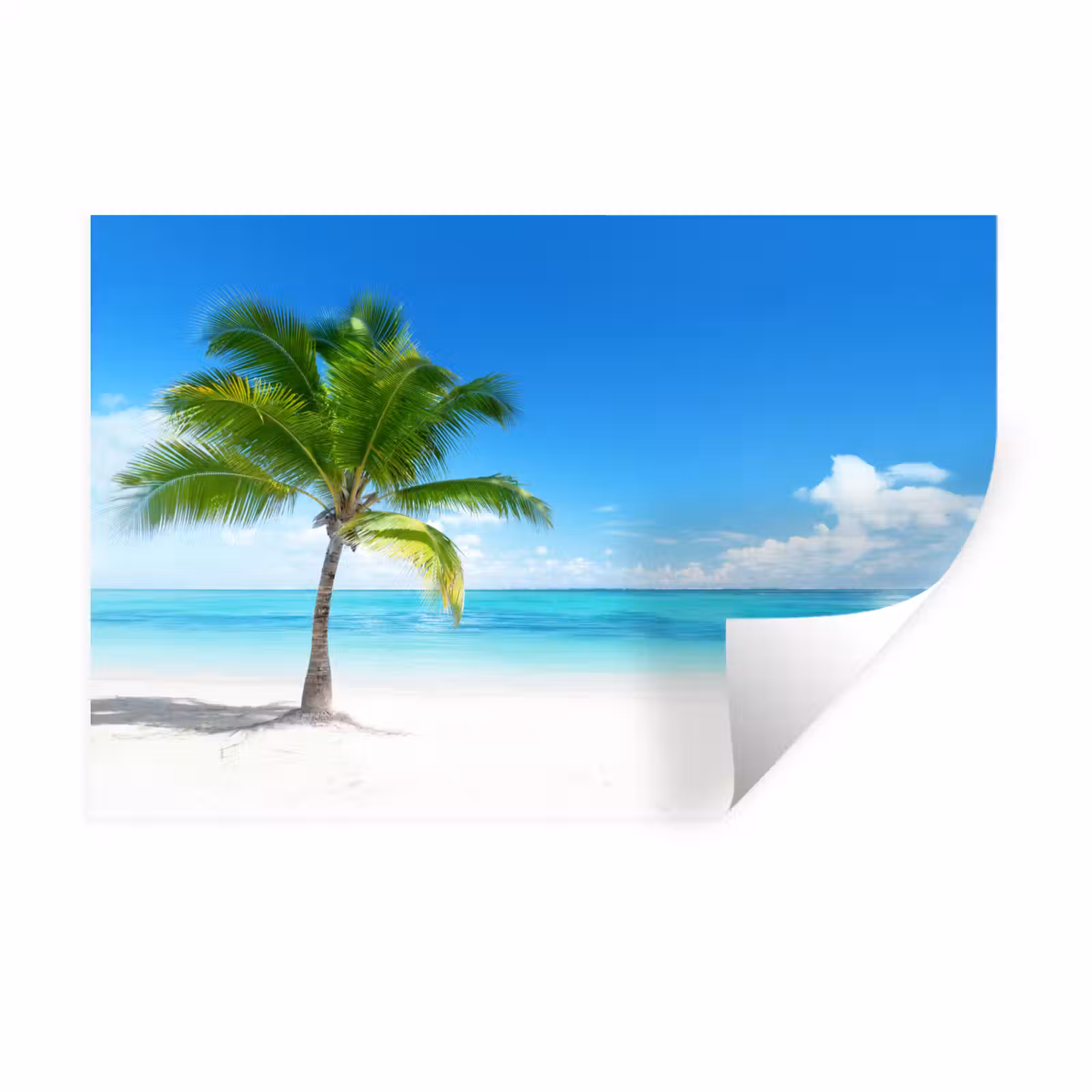 Muursticker - Palmboom - Strand - Zee - Zomer — 1