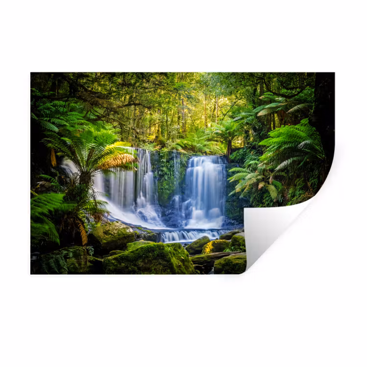 Muursticker - Jungle - Waterval - Australië - Planten - Natuur — 1