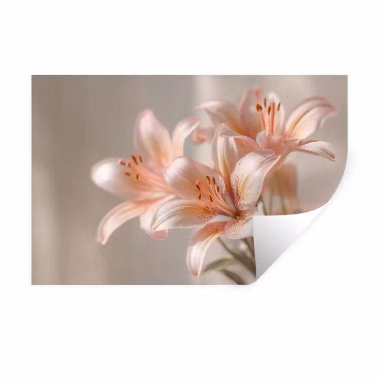 Muursticker - Lelies - Meeldraden - Roze - Wazig — 1