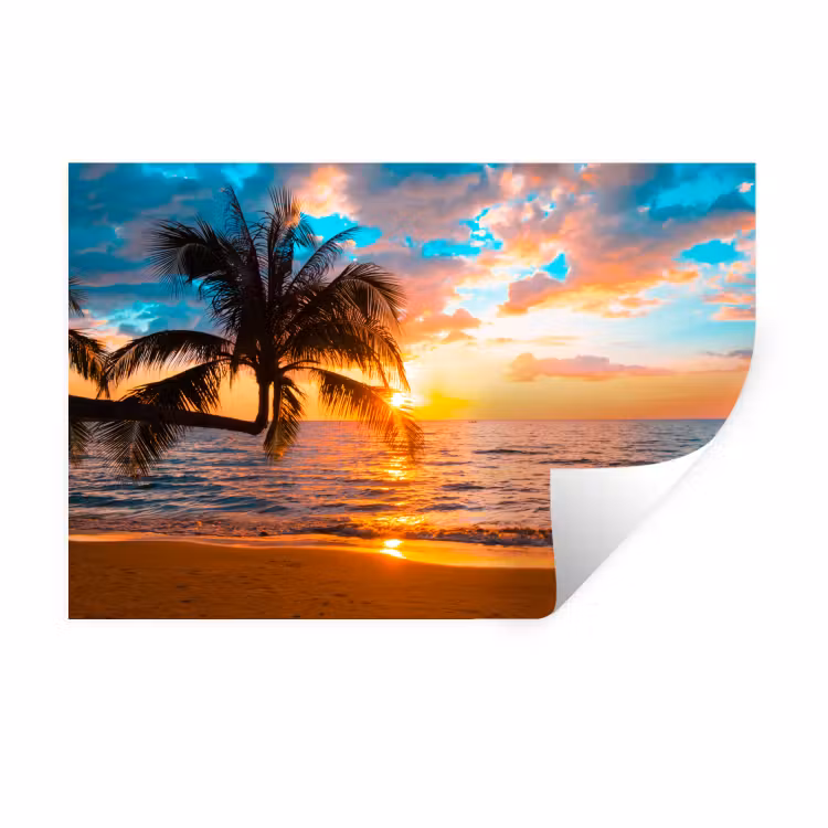 Muursticker - Palm - Zonsondergang - Horizon - Strand - Zee - Tropisch — 1