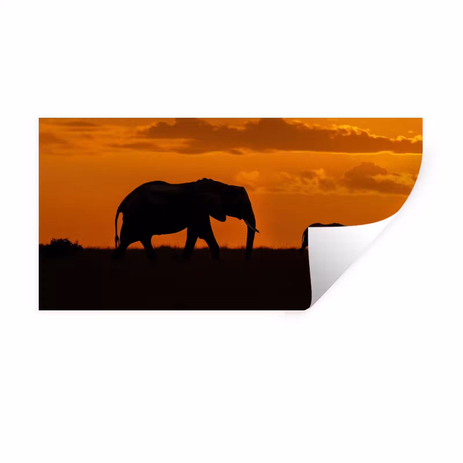 Muursticker - Olifanten - Savanne - Zonsondergang — 1