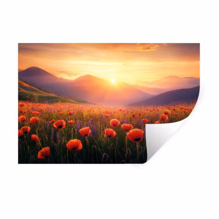 Muursticker - Landschap - Zonsondergang - Bloemenveld — 1