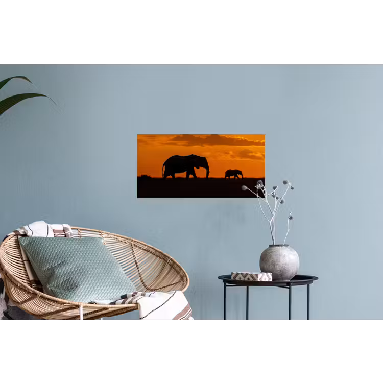 Muursticker - Olifanten - Savanne - Zonsondergang — 4