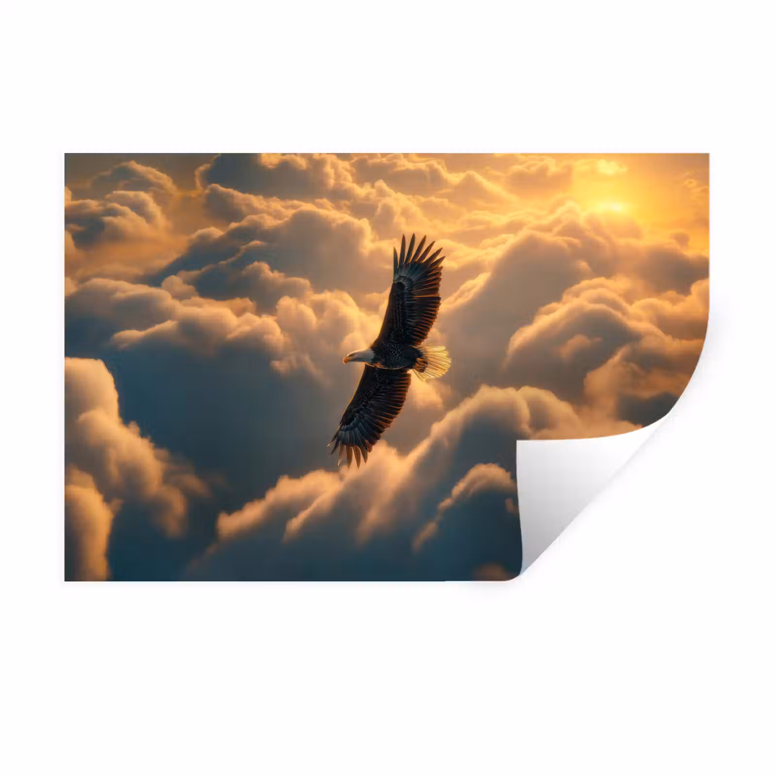 Muursticker - Adelaar - Wolken - Zon — 1