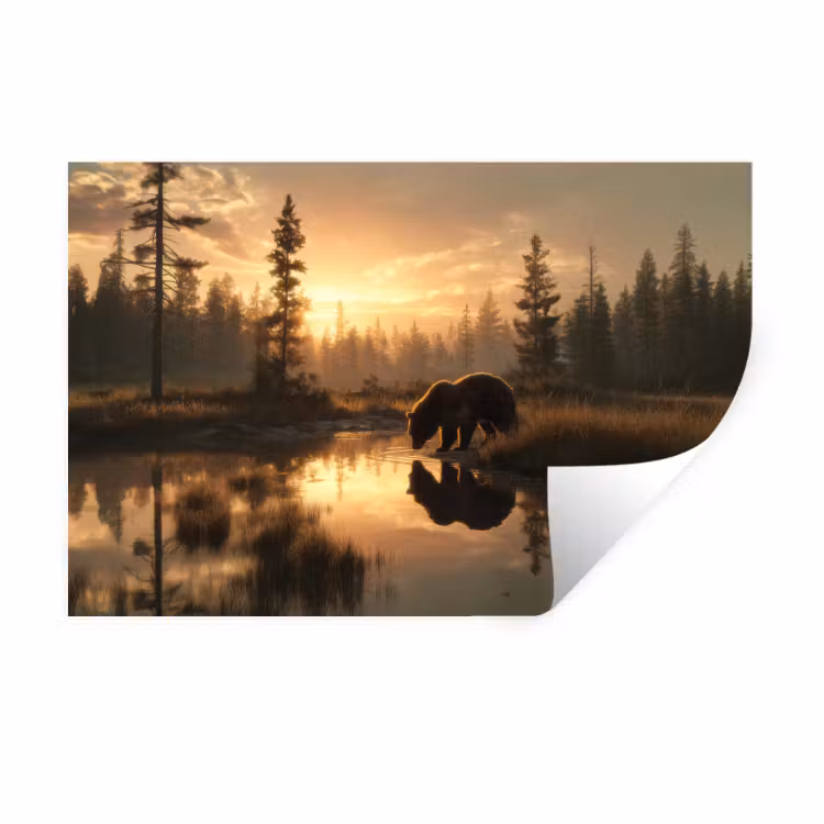 Muursticker - Beer - water - Bos - Ochtendlicht — 1