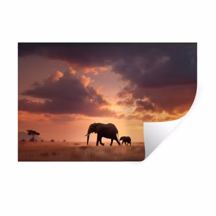 Muursticker - Olifanten - Grasland - Zonsondergang — 1