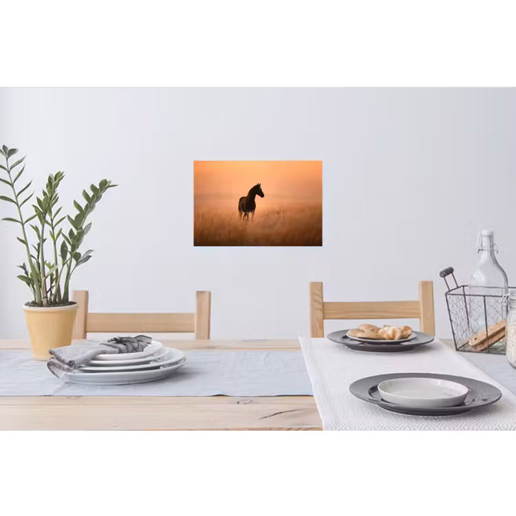 Muursticker - Paard - Grasveld - Zonsondergang — 3