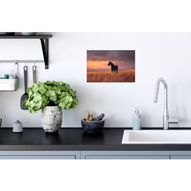 Muursticker - Paard - Wolken - Open veld — 2