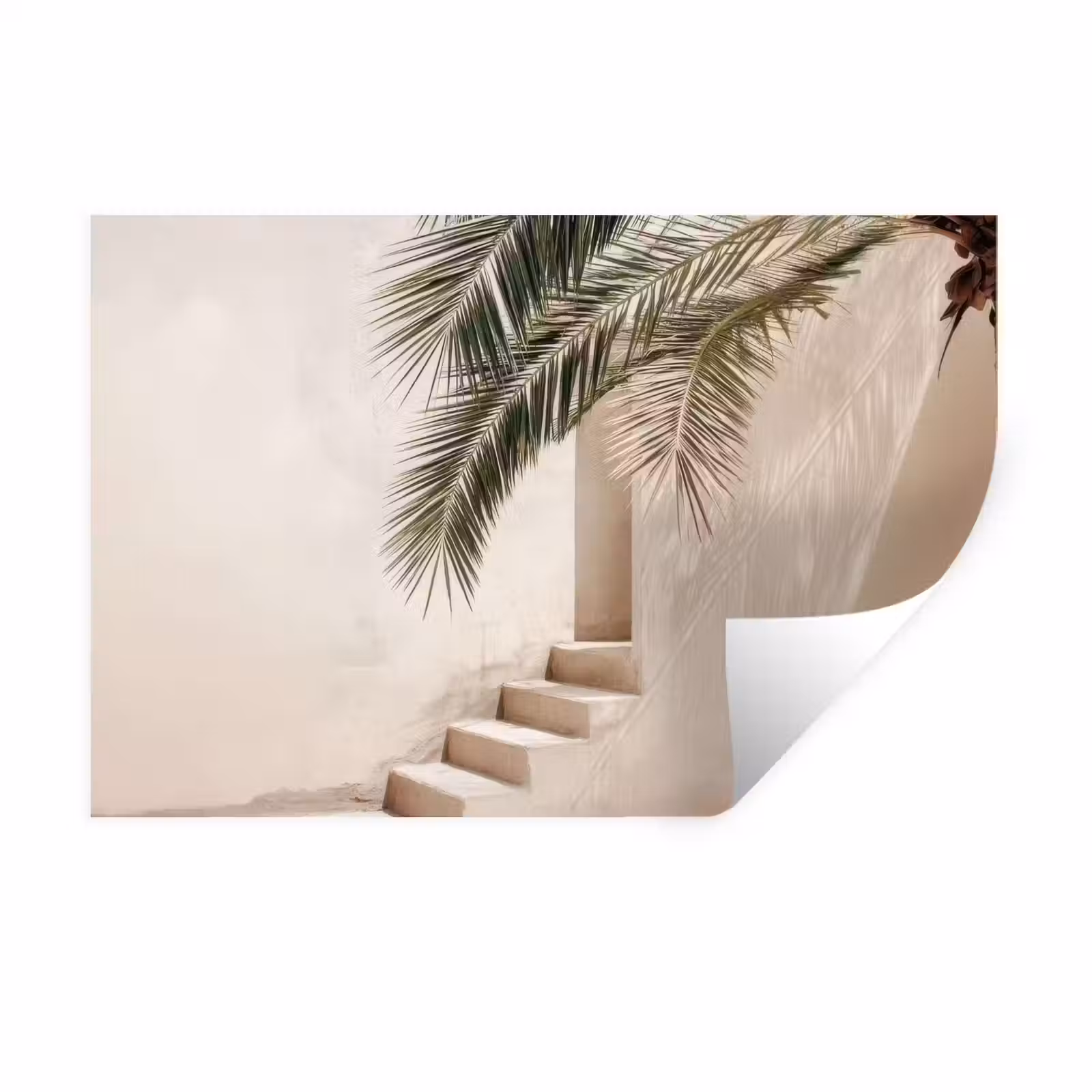 Muursticker - Palmboom - Schaduw - Trap - Beige — 1