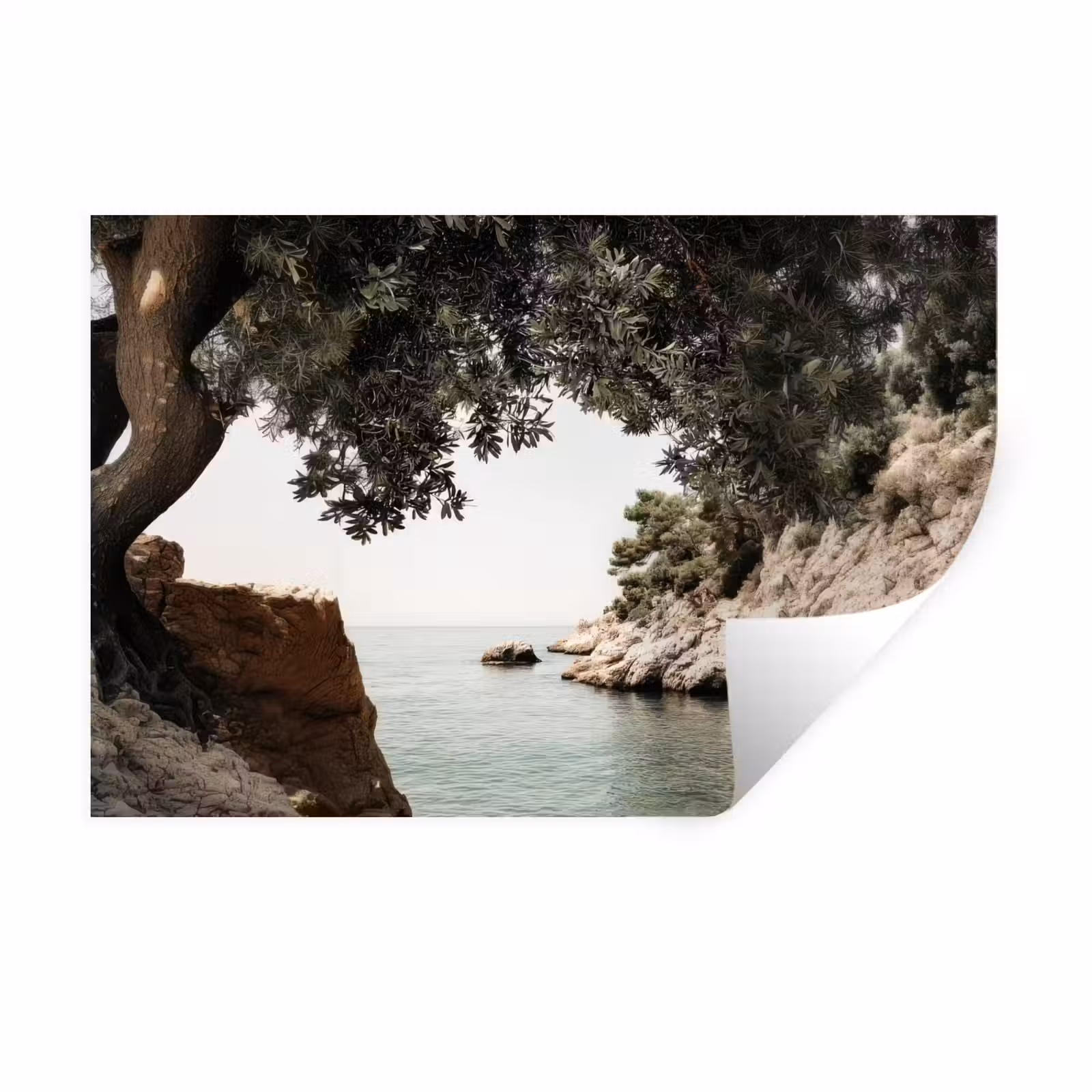 Muursticker - Rotsen - Zee - Boom - Groen — 1