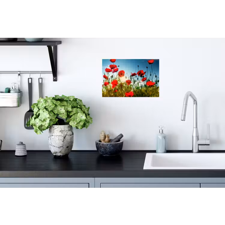 Muursticker - Klaprozen - Toscane - Zon - Rood - Blauw — 2
