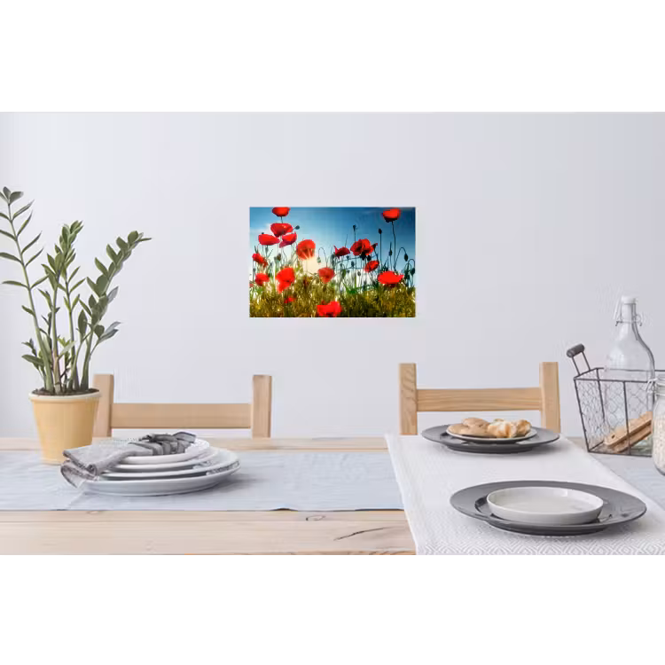 Muursticker - Klaprozen - Toscane - Zon - Rood - Blauw — 3