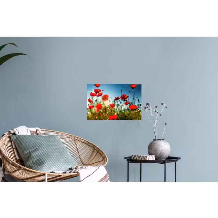 Muursticker - Klaprozen - Toscane - Zon - Rood - Blauw — 4