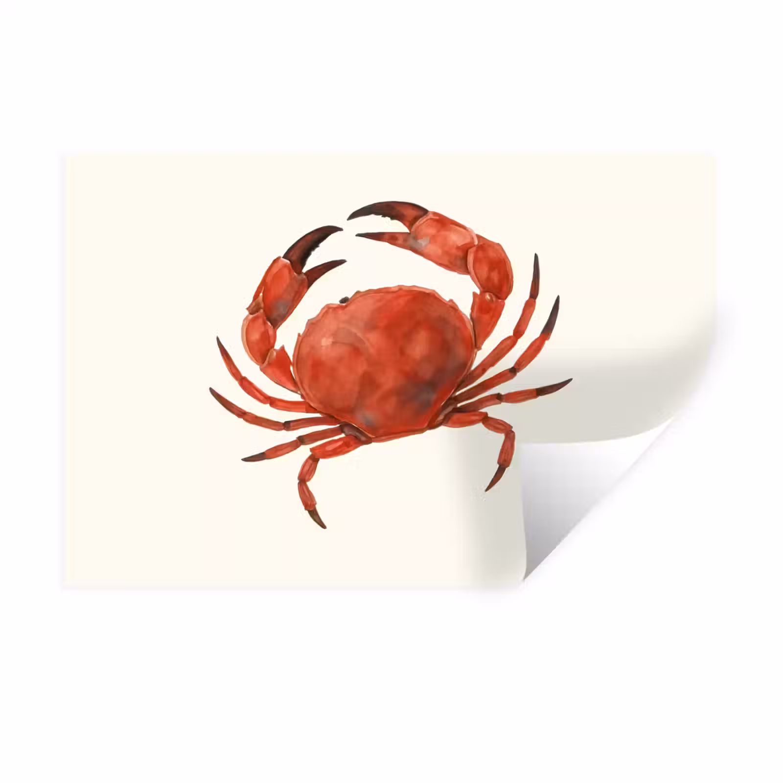 Muursticker - Krab - Felrood - Poten — 1