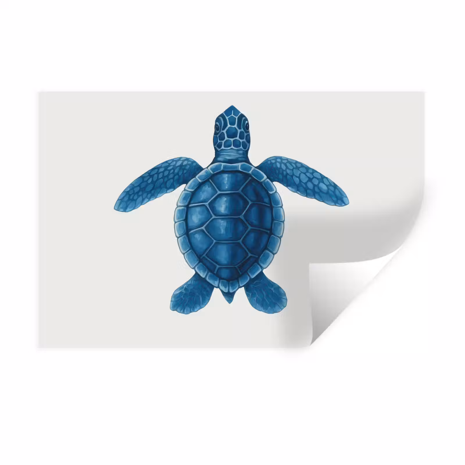 Muursticker - Schildpad - Blauw - Schild — 1
