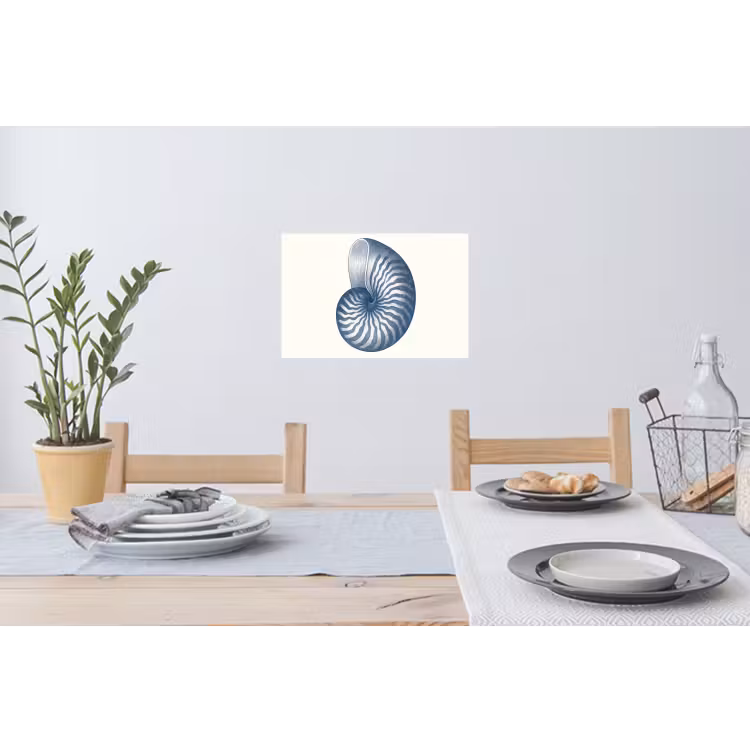 Muursticker - Blauw - Schelp - Spiraal — 3