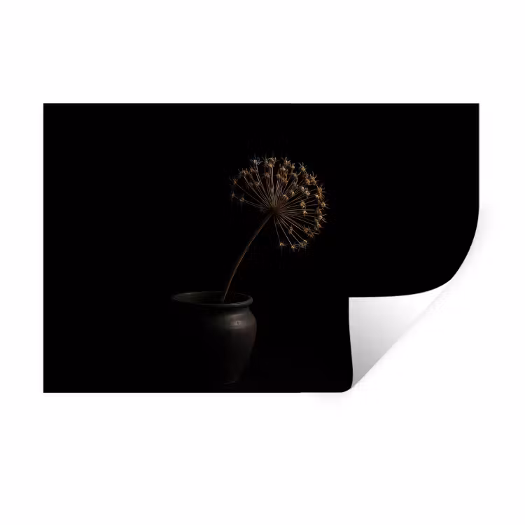 Muursticker - Bol - Gedroogd - Vaas - Zwart — 1