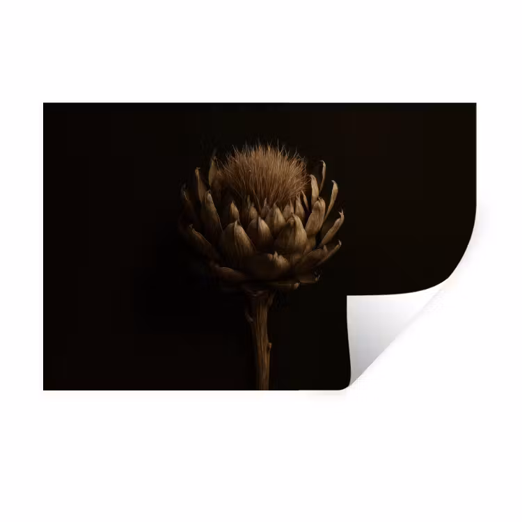 Muursticker - Donkerbruin - Bloem - Textuur - Artisjok — 1