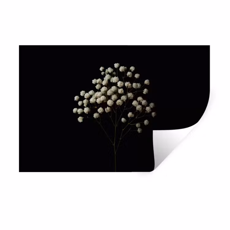 Muursticker - Gipskruid - Bloemetjes - Wit - Minimalistisch — 1